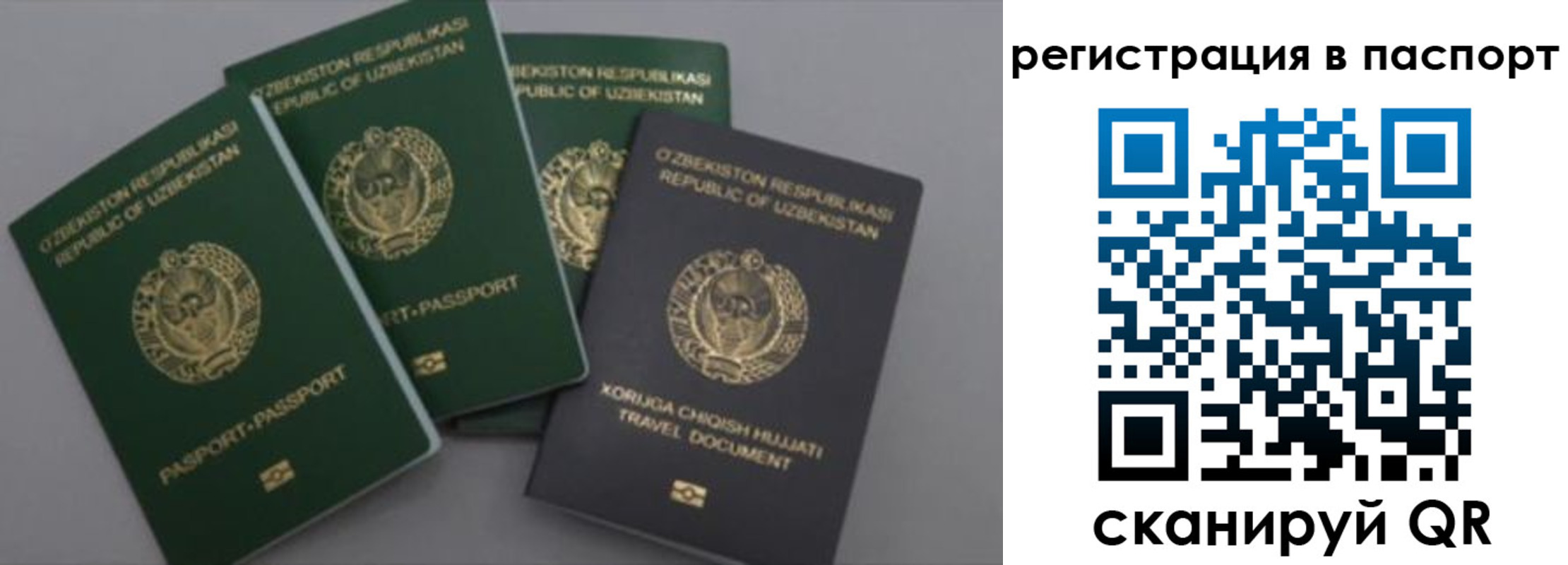 прописка от собственника в Рошале